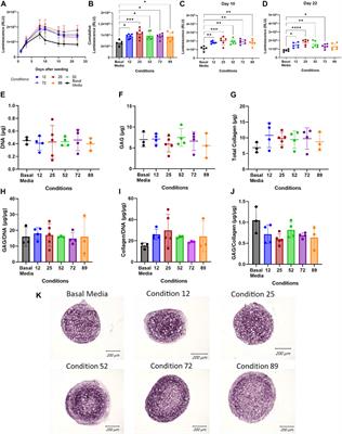 Micronutrient optimization for tissue engineered articular cartilage production of type II collagen